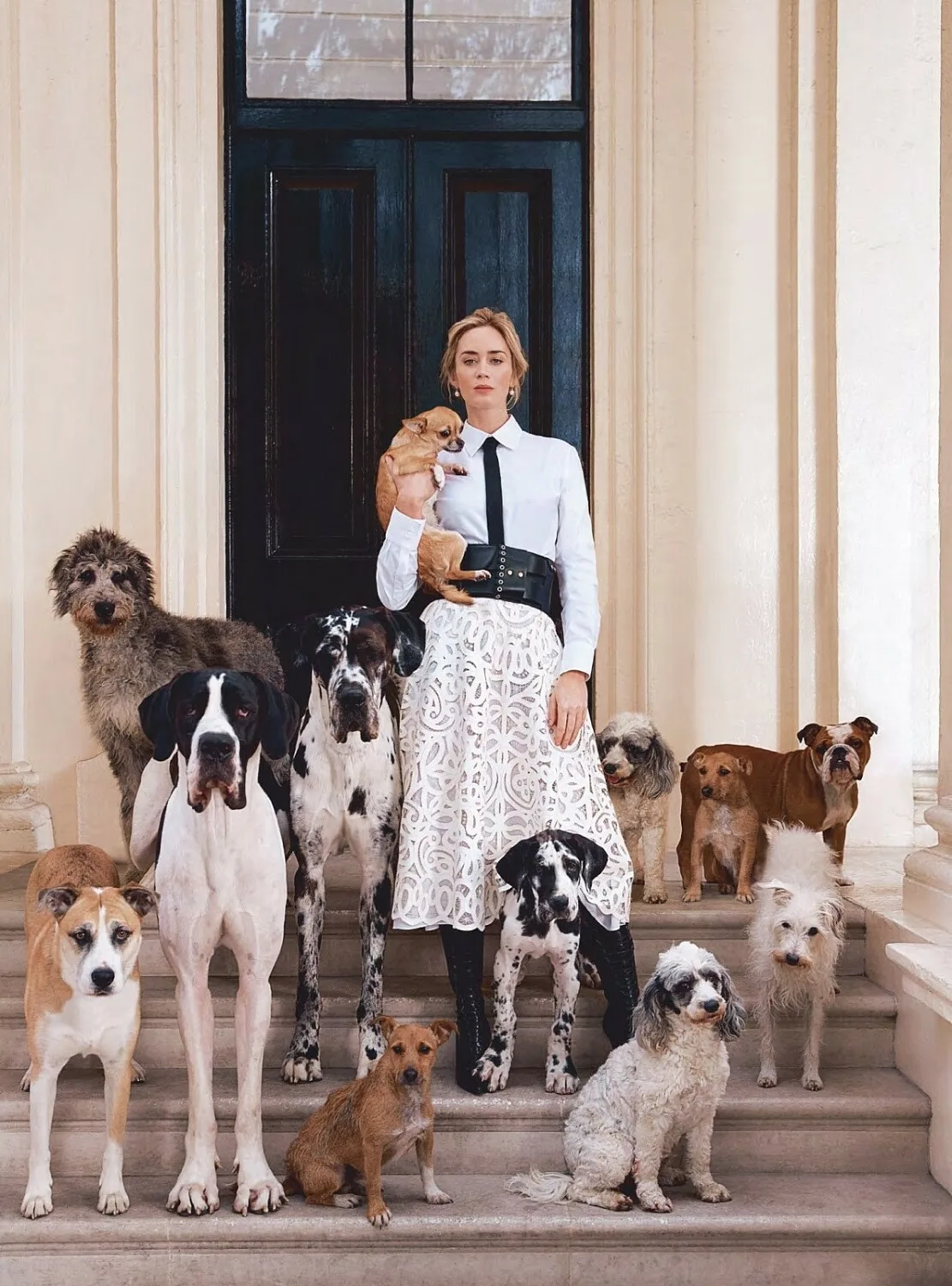 Harper's Bazaar — portfolio image