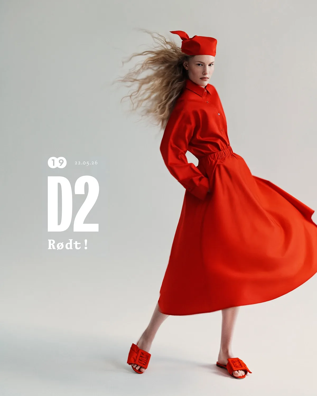D2 — portfolio image