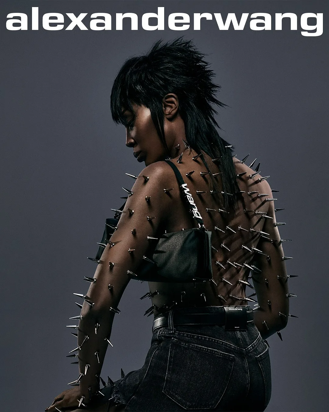Alexander Wang — portfolio image