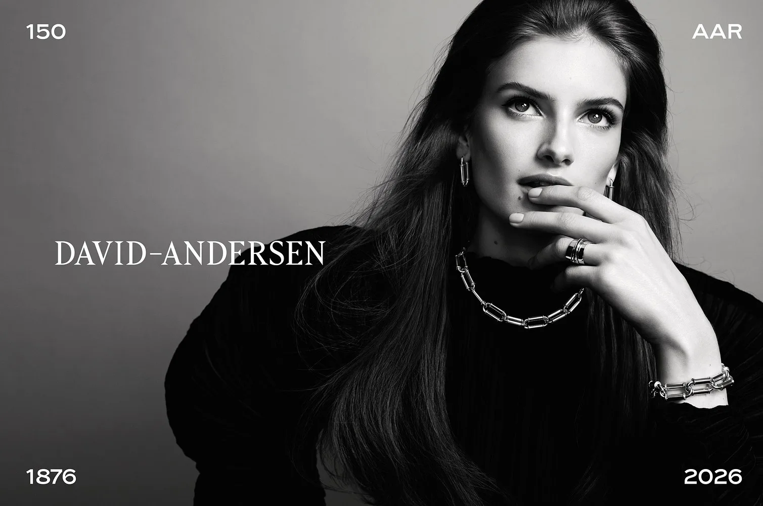 David-Andersen — portfolio image