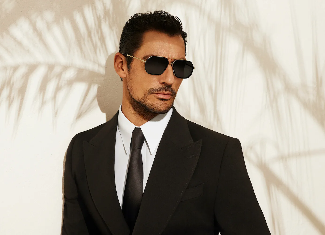 Dolce & Gabbana — portfolio image