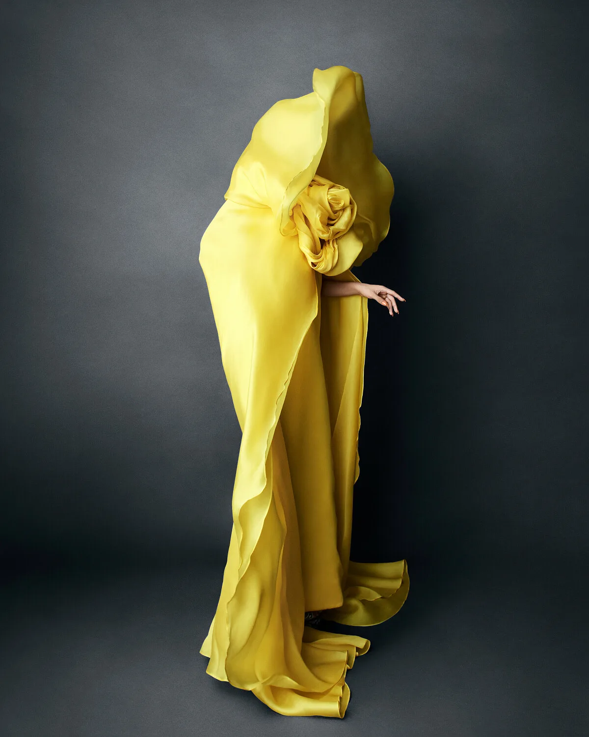 ELLE — portfolio image