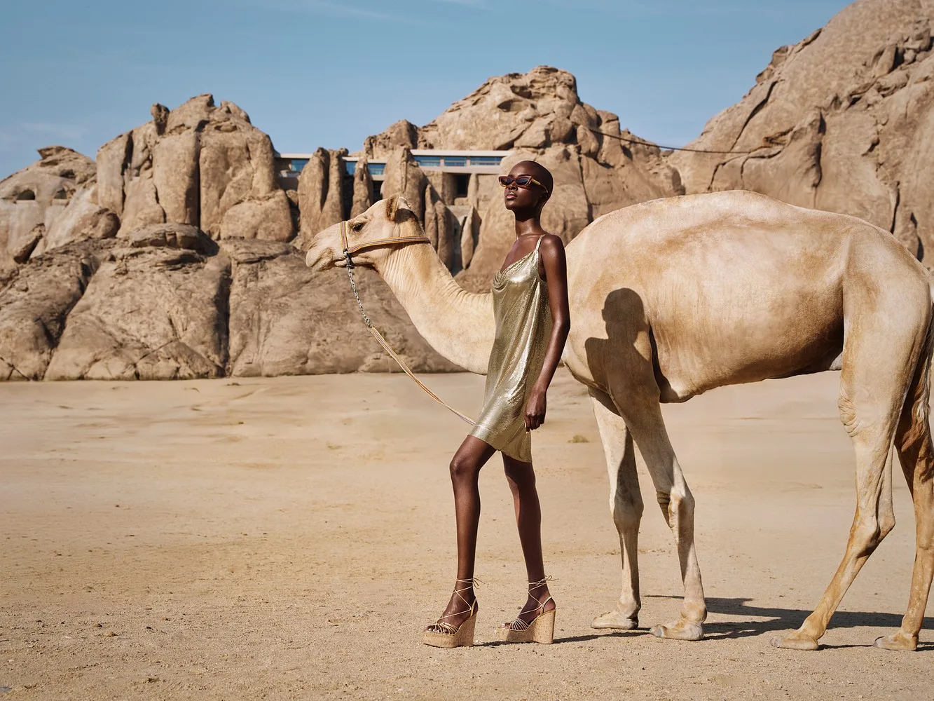 Aquazzura HS26 — portfolio image