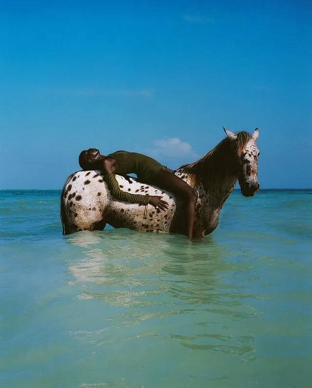 Telegraph Luxury — portfolio image