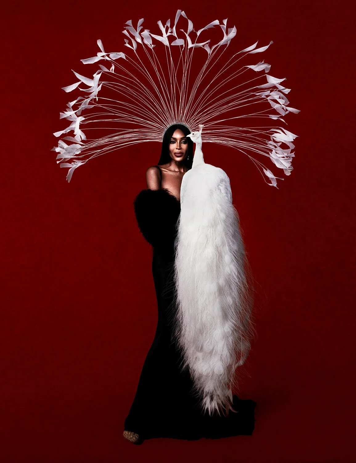 W — portfolio image