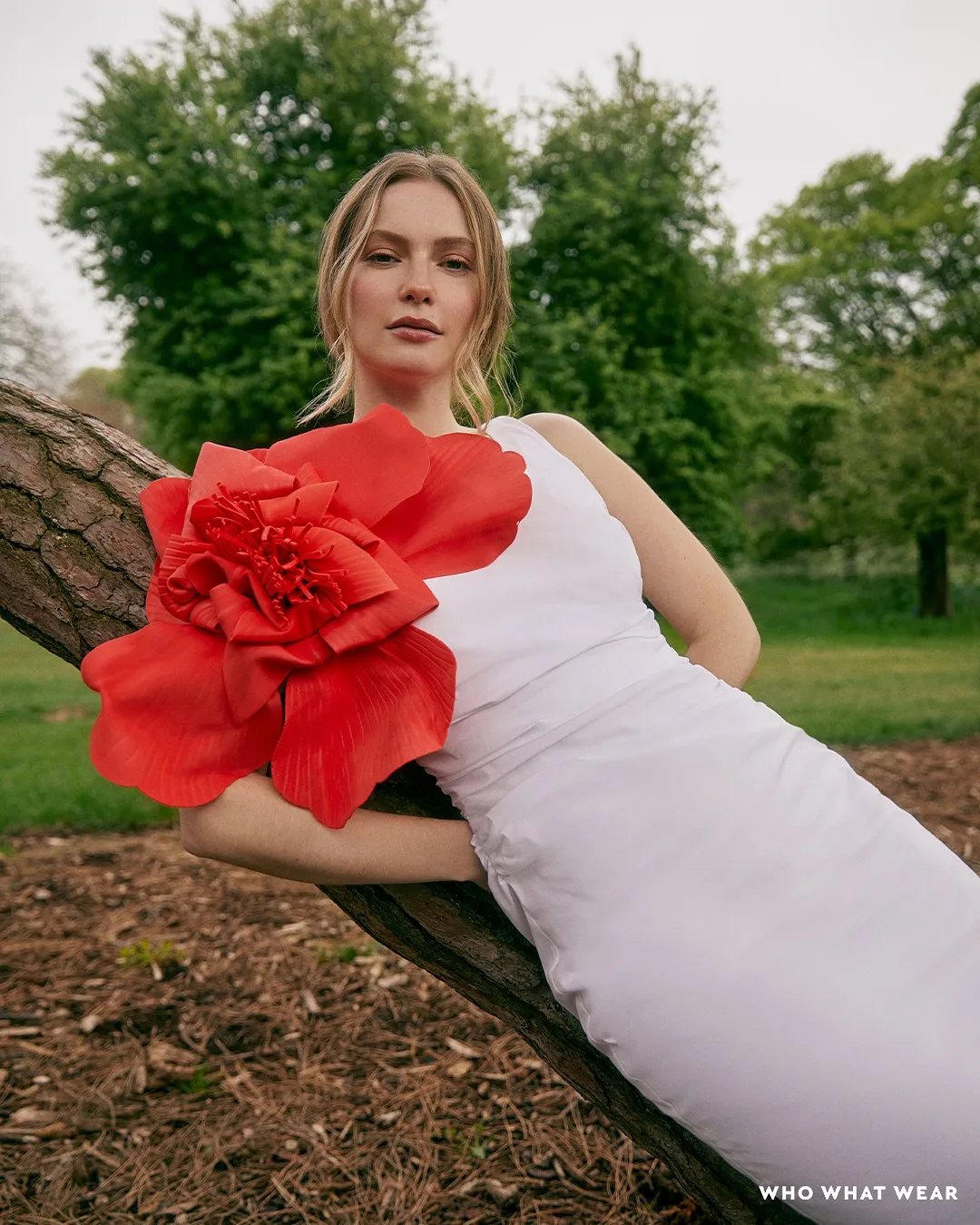 Hannah Dodd WWW — portfolio image