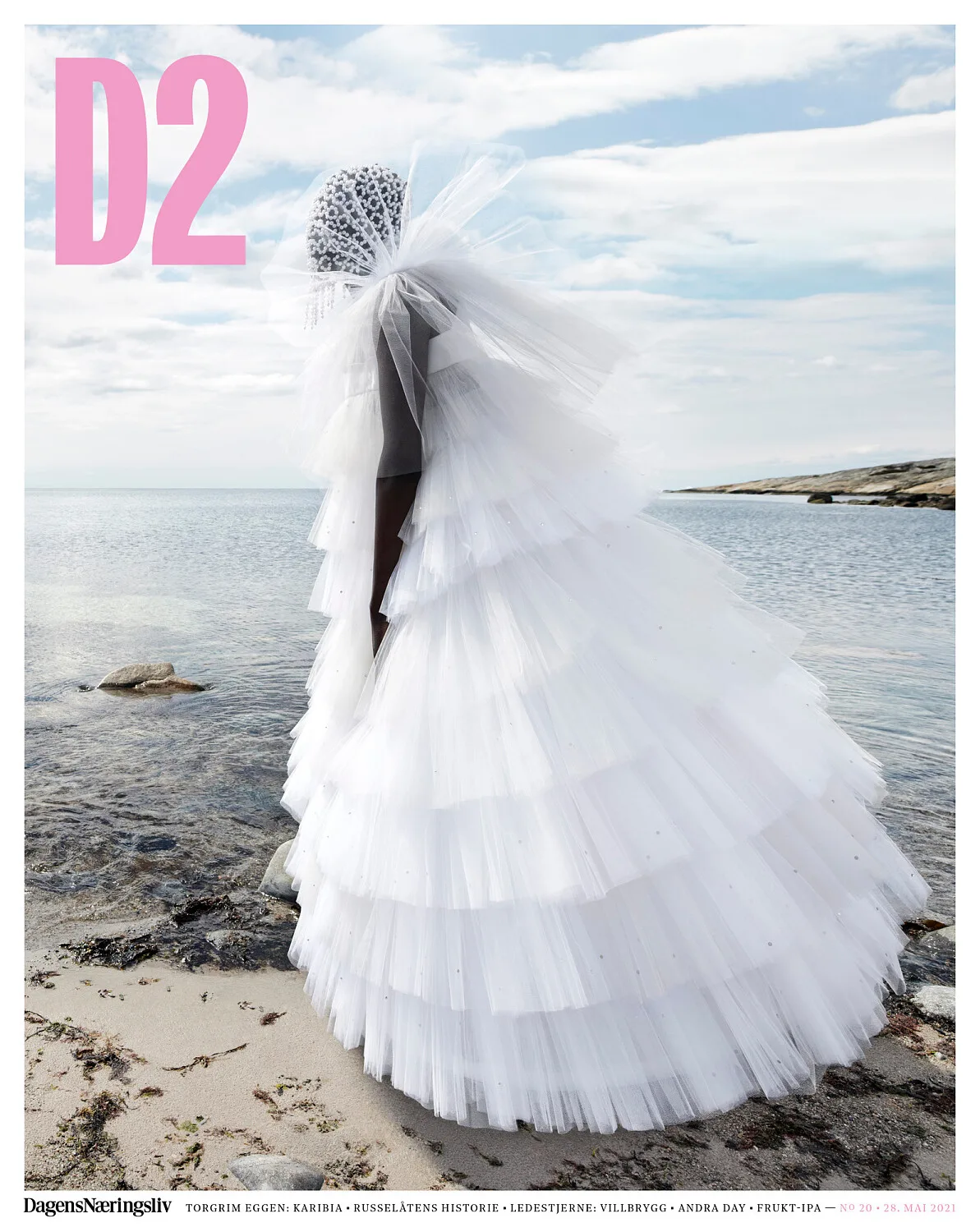 D2 — portfolio image