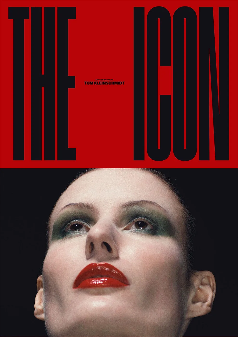 Icon — portfolio image