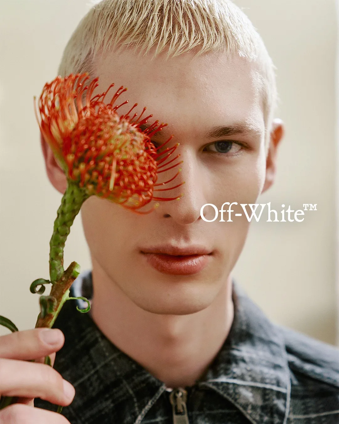 Off-White — portfolio image