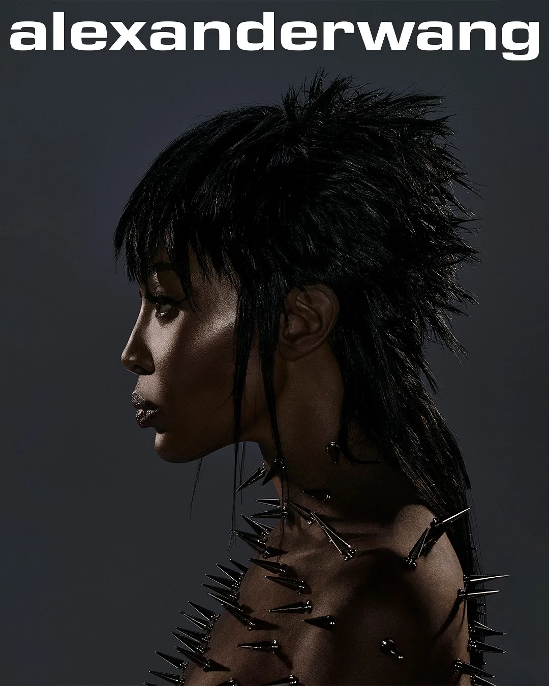Alexander Wang — portfolio image