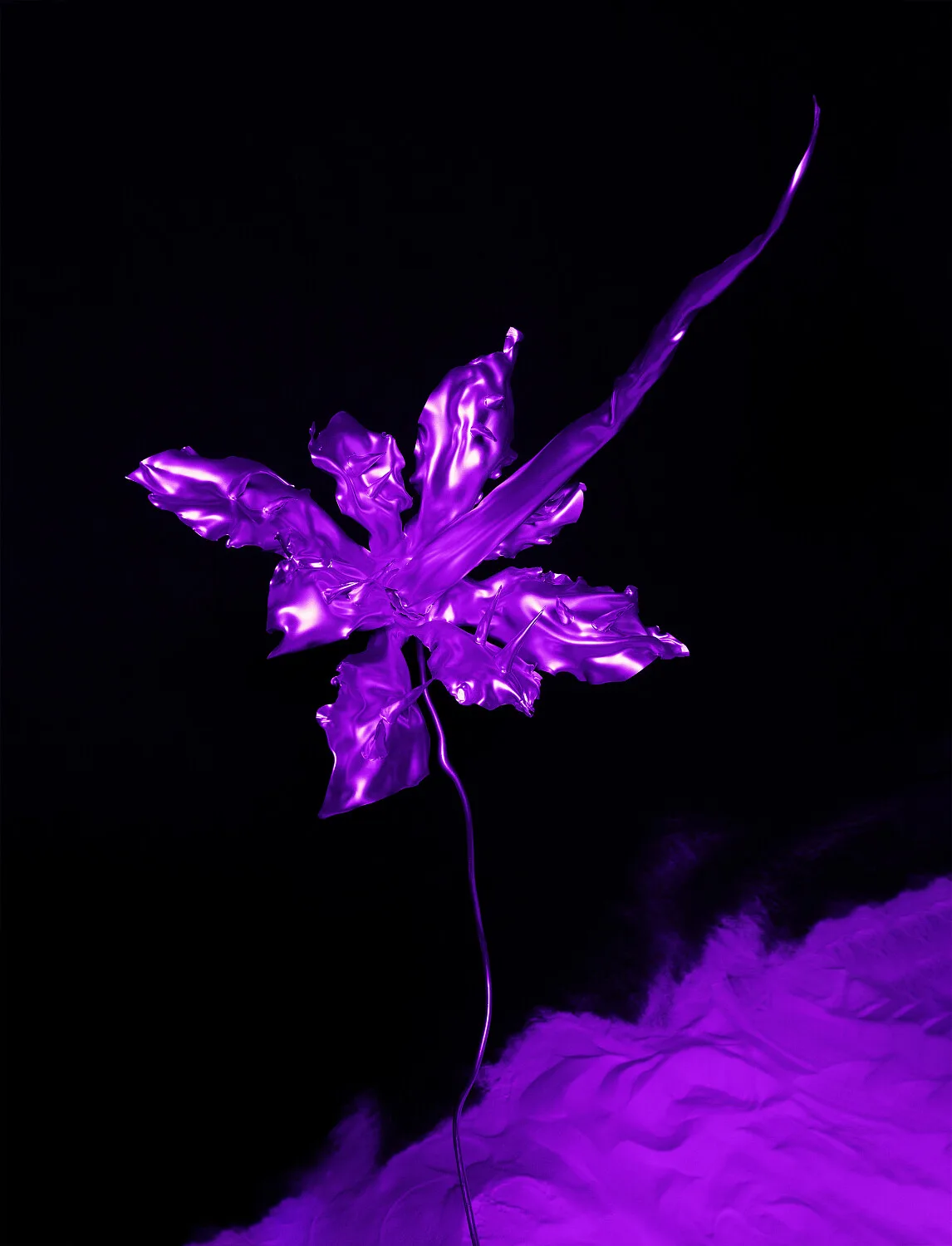 Numero — portfolio image