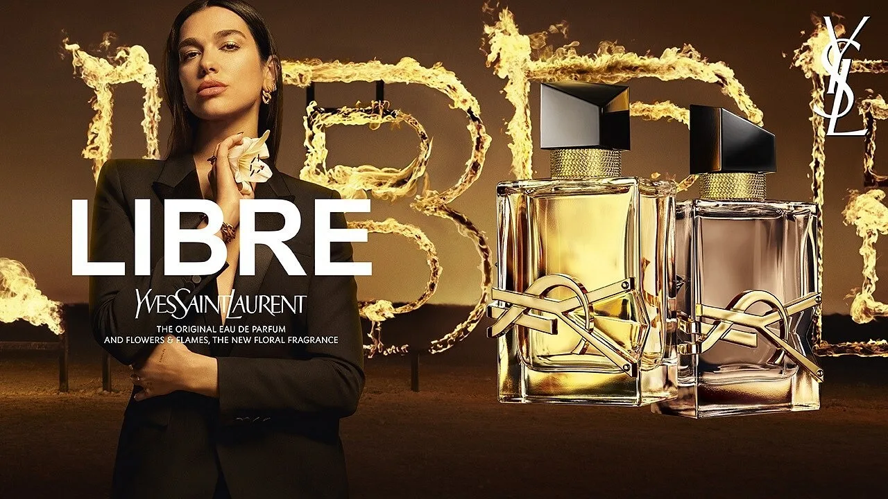 YSL — portfolio image